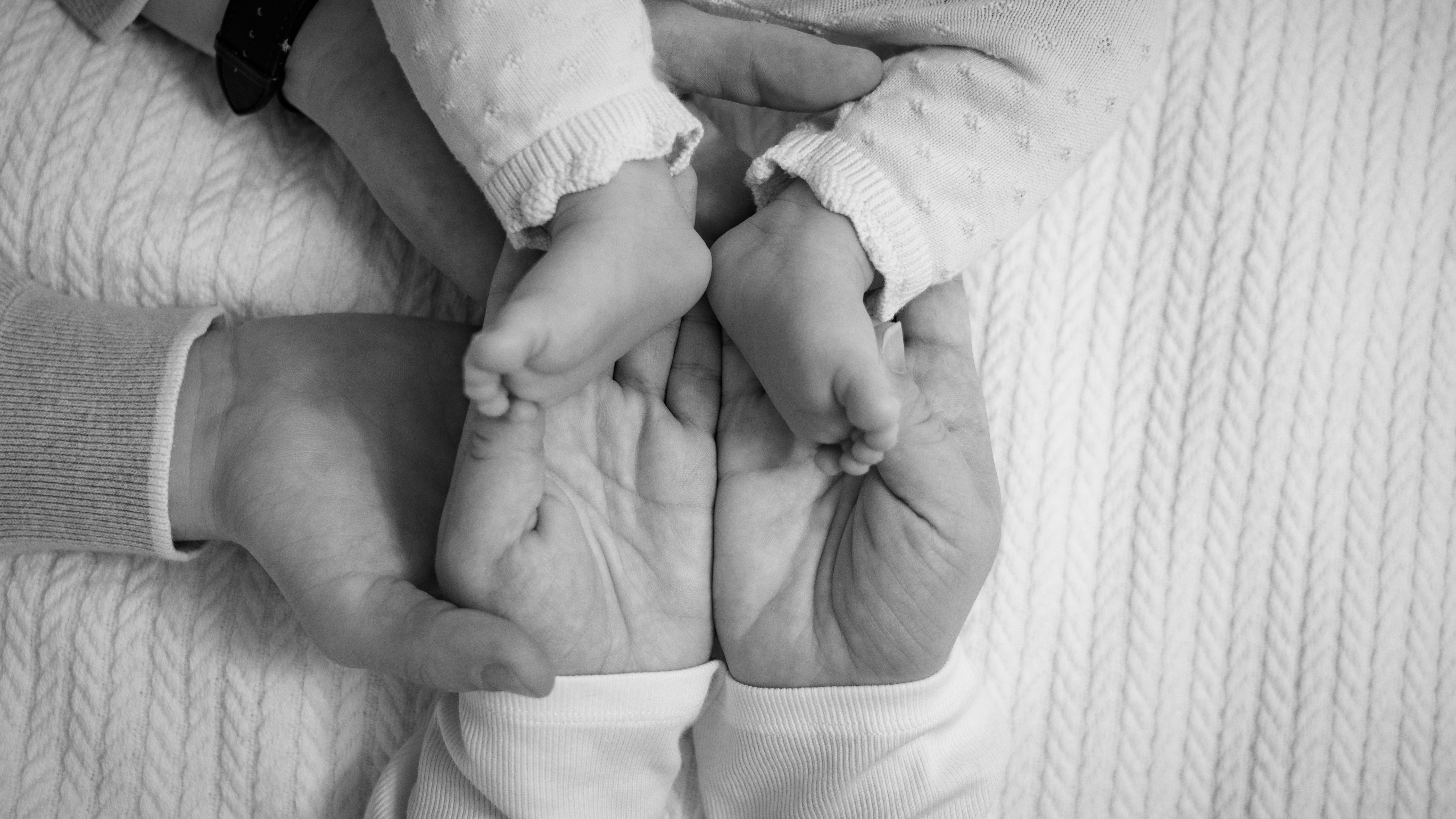 Premium Fotoshooting in Wien mit natürlicher Lichtstimmung