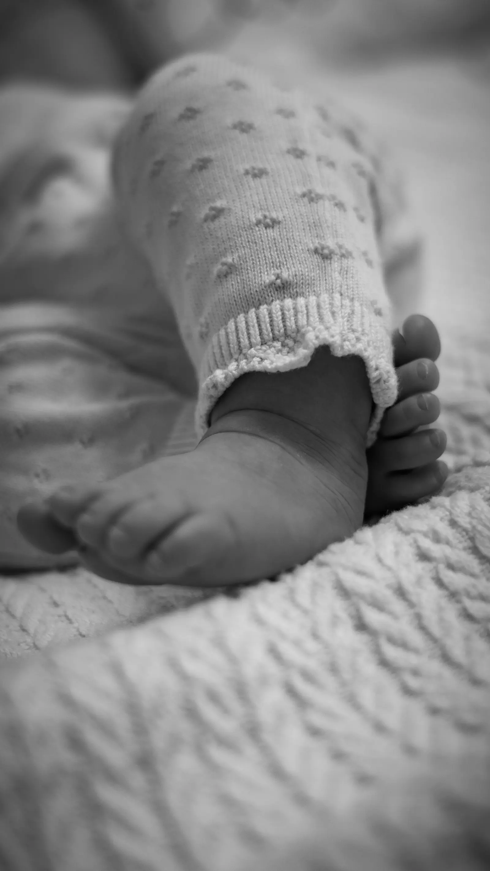 Baby und Familien Fotoshooting in Wien