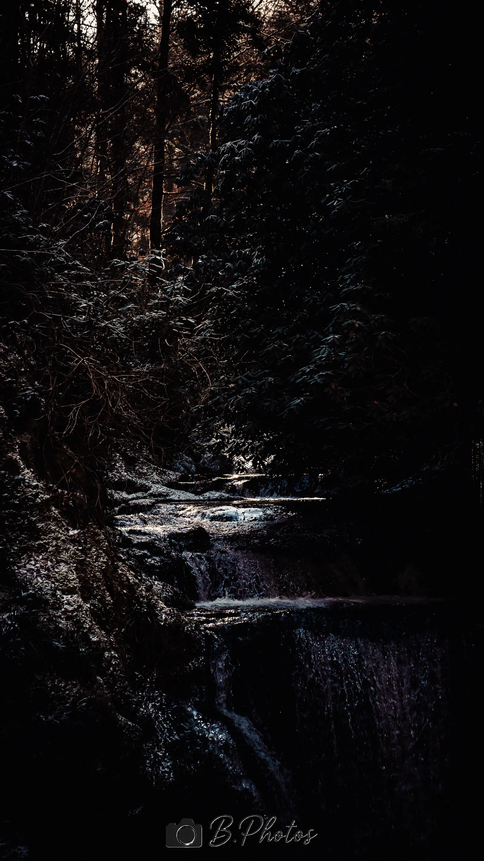 Outdoor Portrait mit natürlichem Licht in Wien Umgebung
